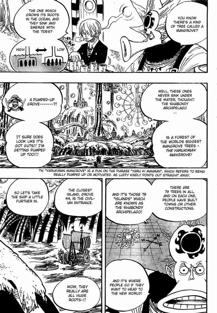 One Piece chapter 496 page 14