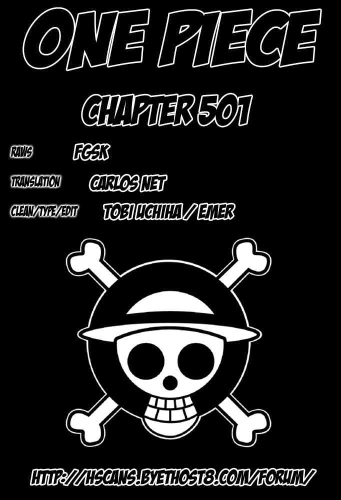 One Piece chapter 501 page 19