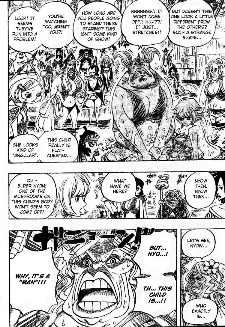 One Piece chapter 514 page 18