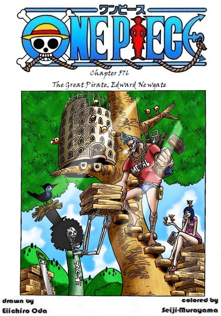One Piece chapter 576 page 2