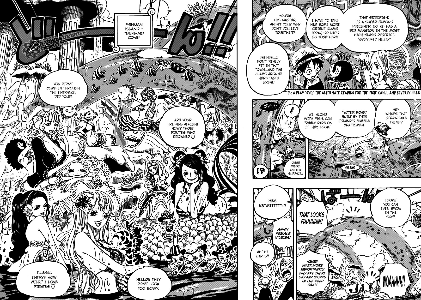 One Piece chapter 608 page 14