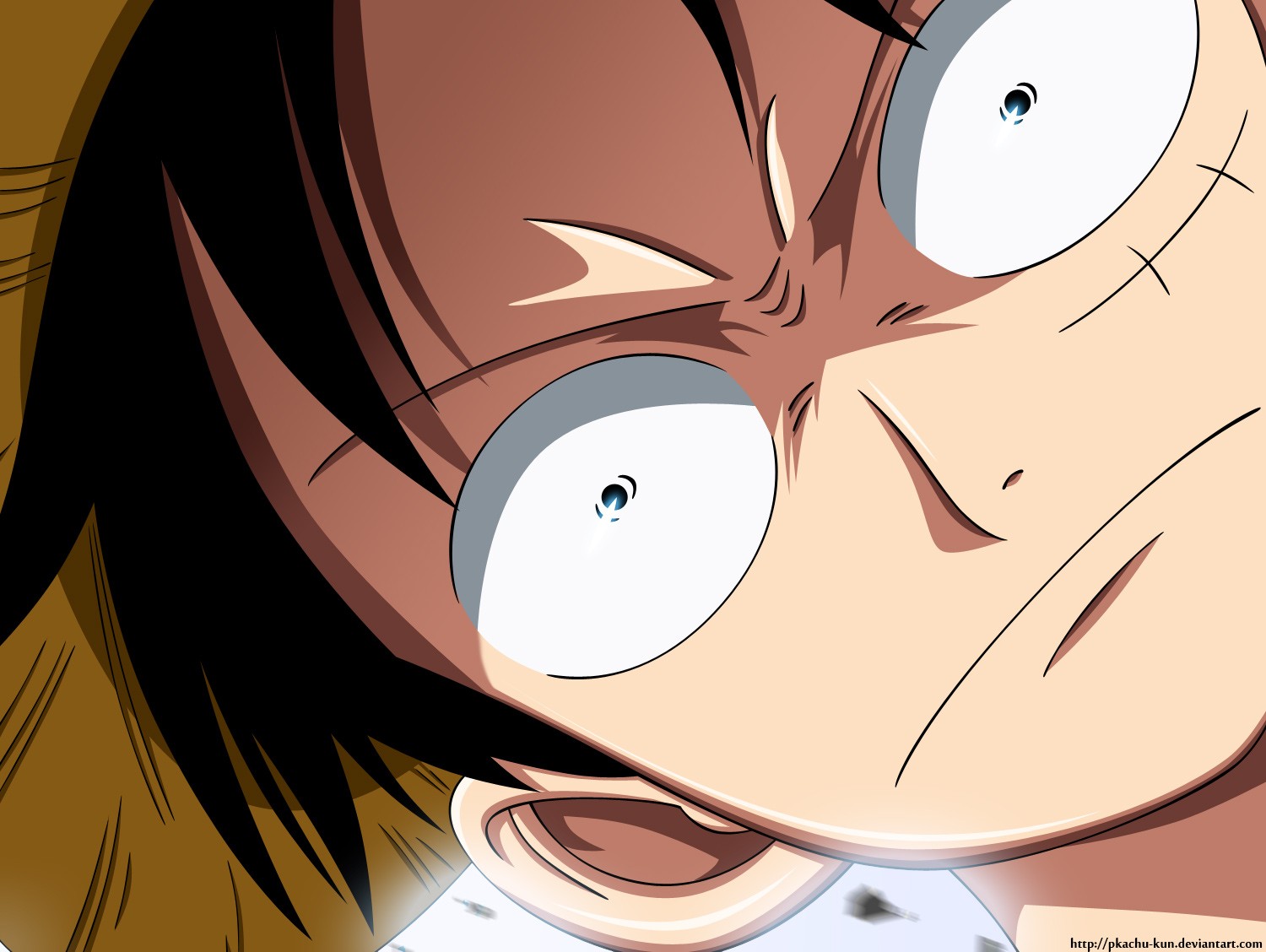 One Piece chapter 669 page 3