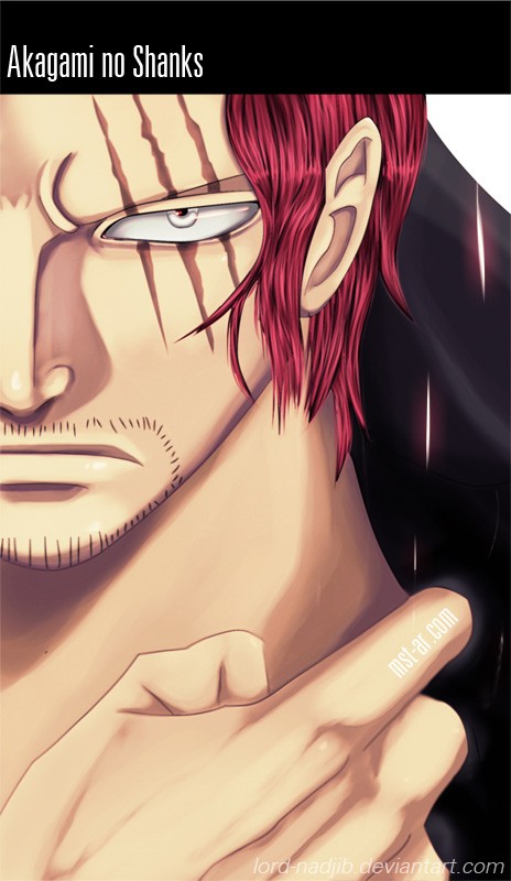 One Piece chapter 676 page 3