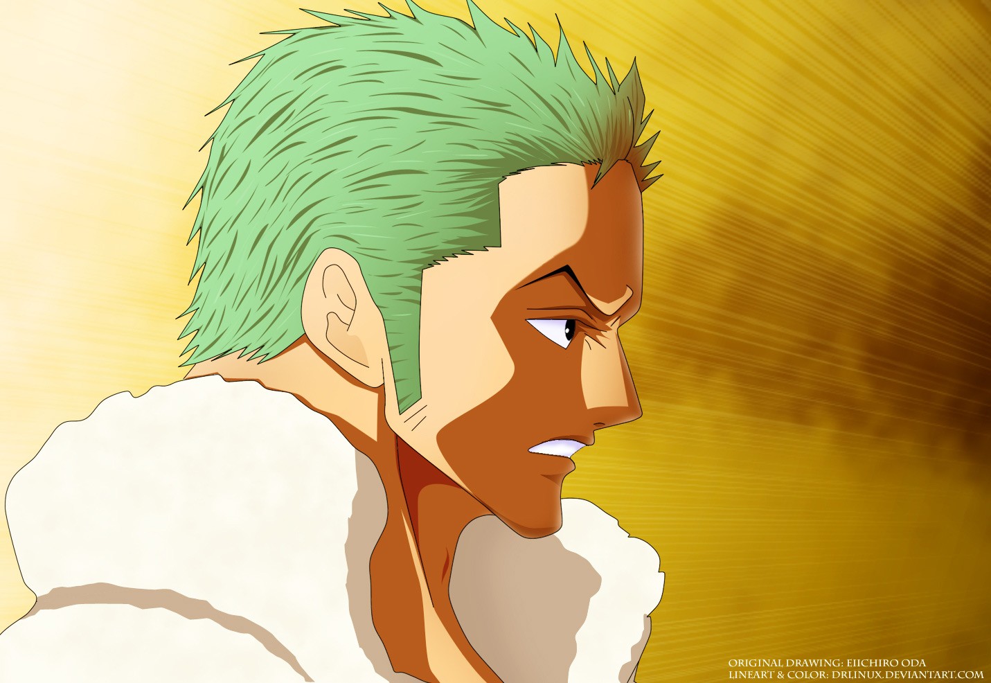 One Piece chapter 683 page 23