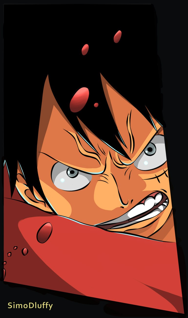 One Piece chapter 699 page 23