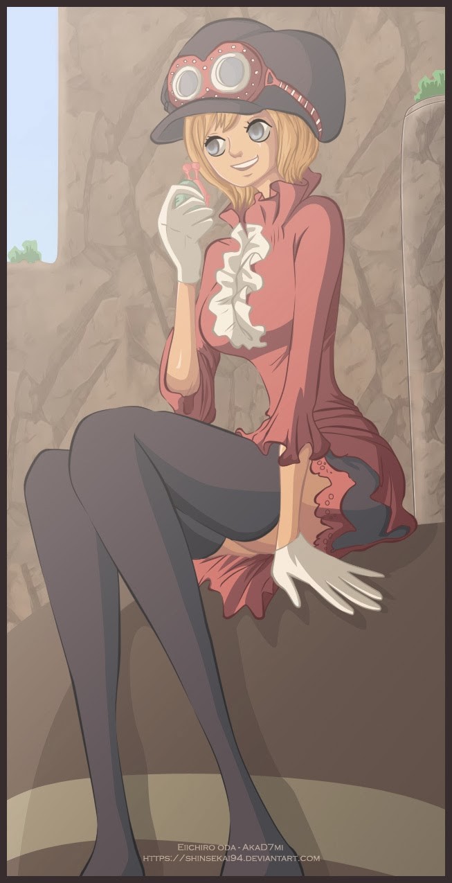 One Piece chapter 733 page 5