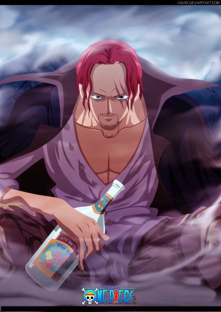 One Piece chapter 753 page 4