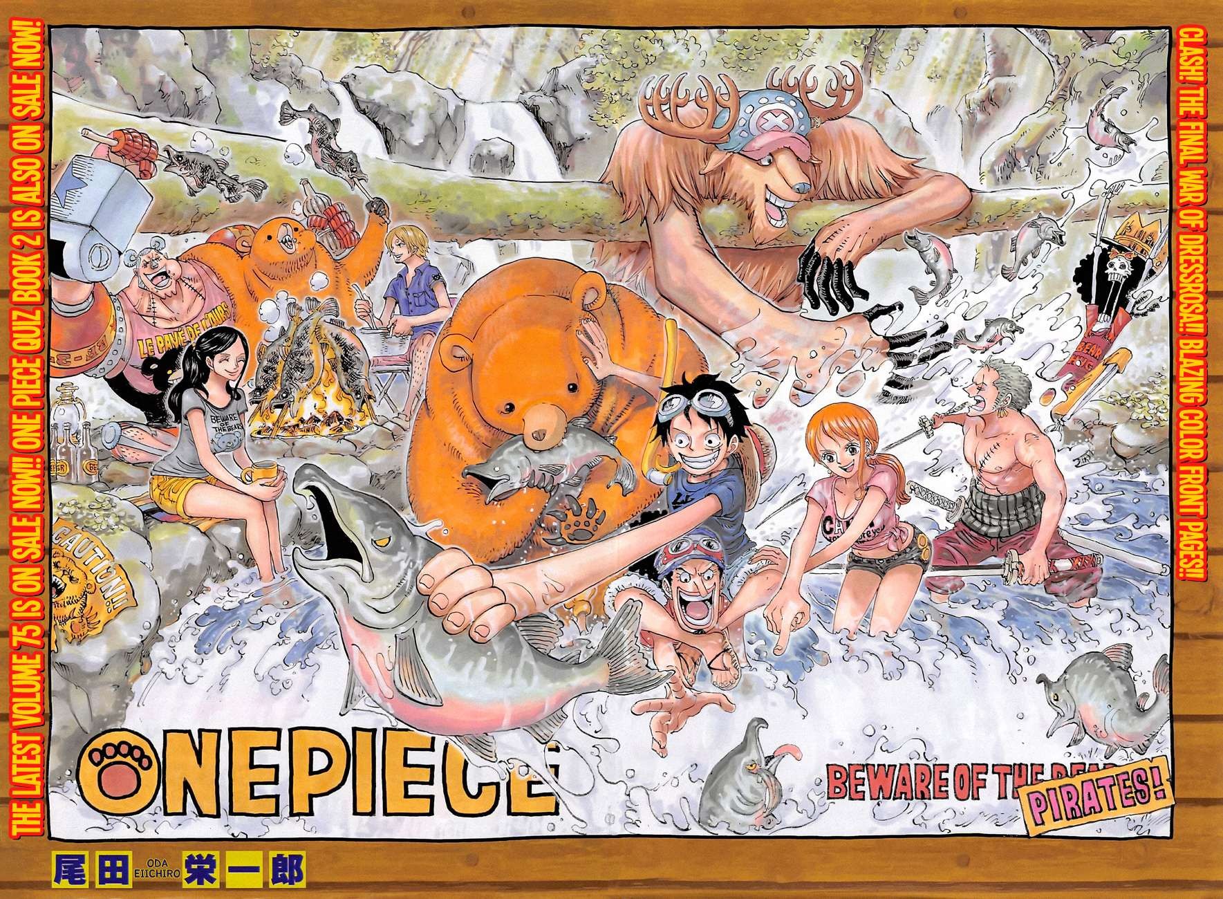 One Piece chapter 764 page 4