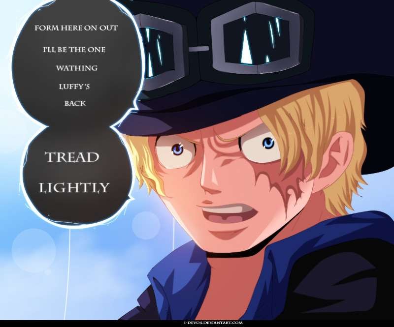 One Piece chapter 792 page 3