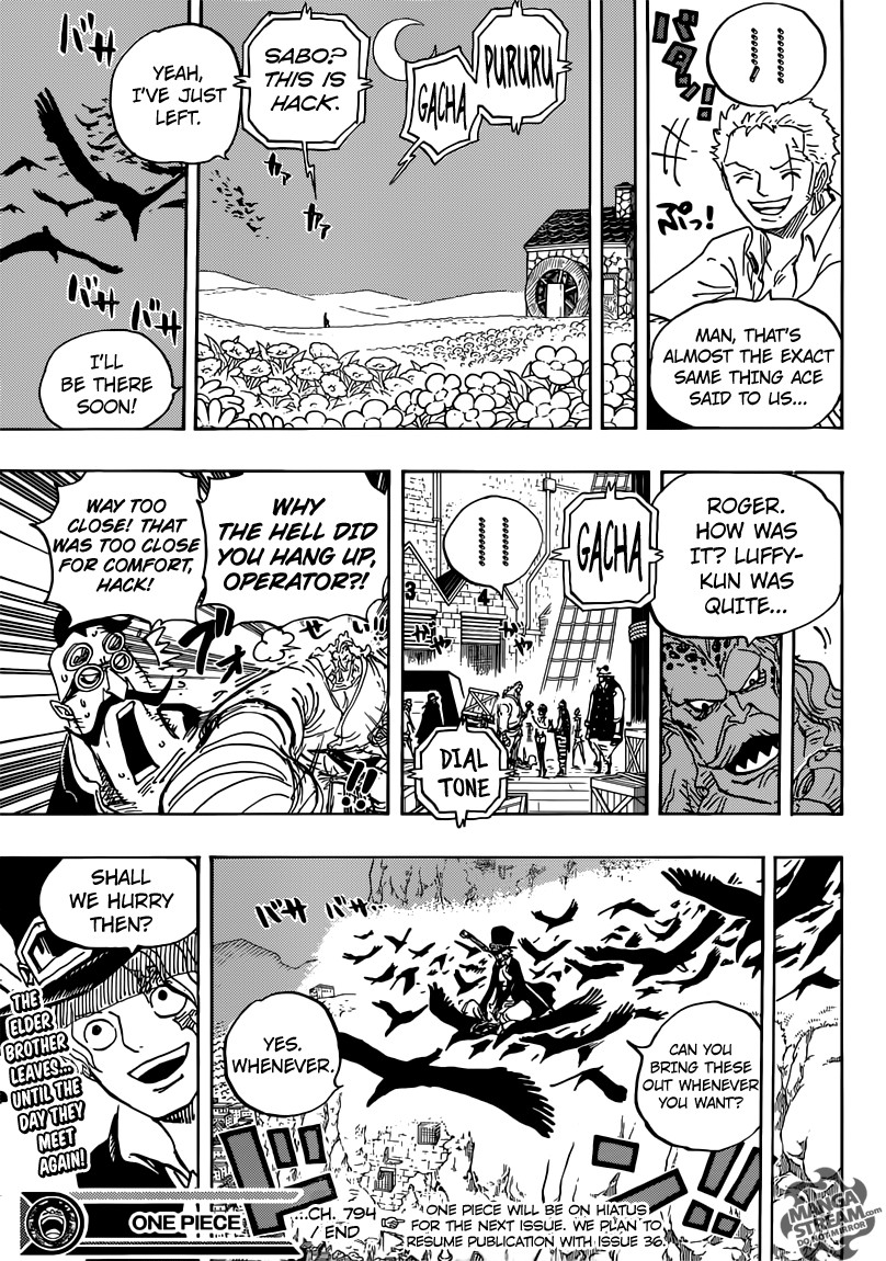 One Piece chapter 794 page 18