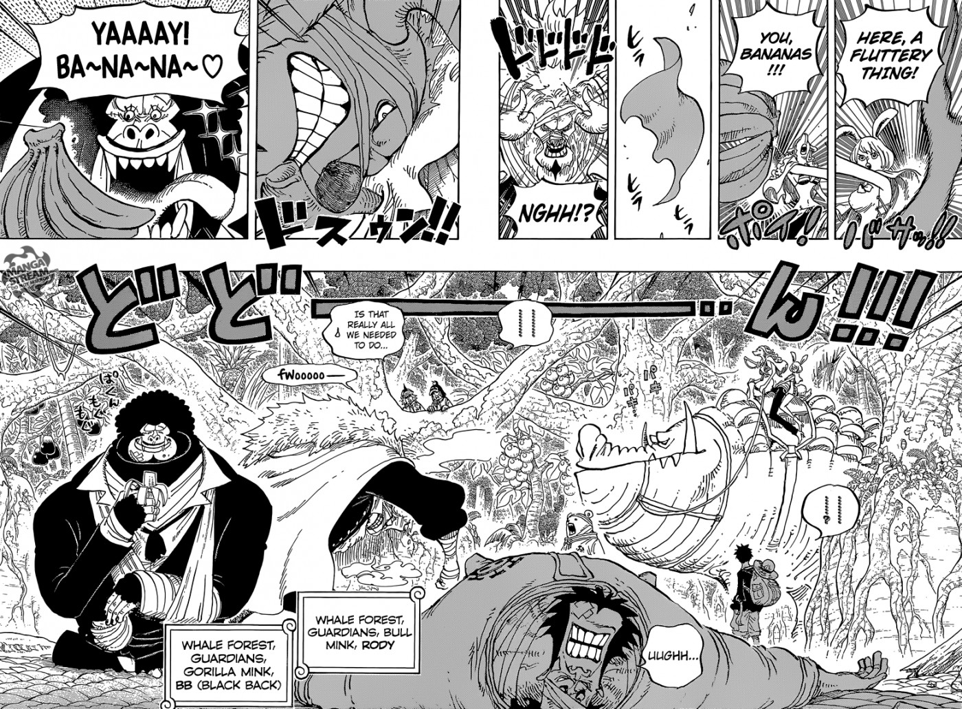 One Piece chapter 805 page 13