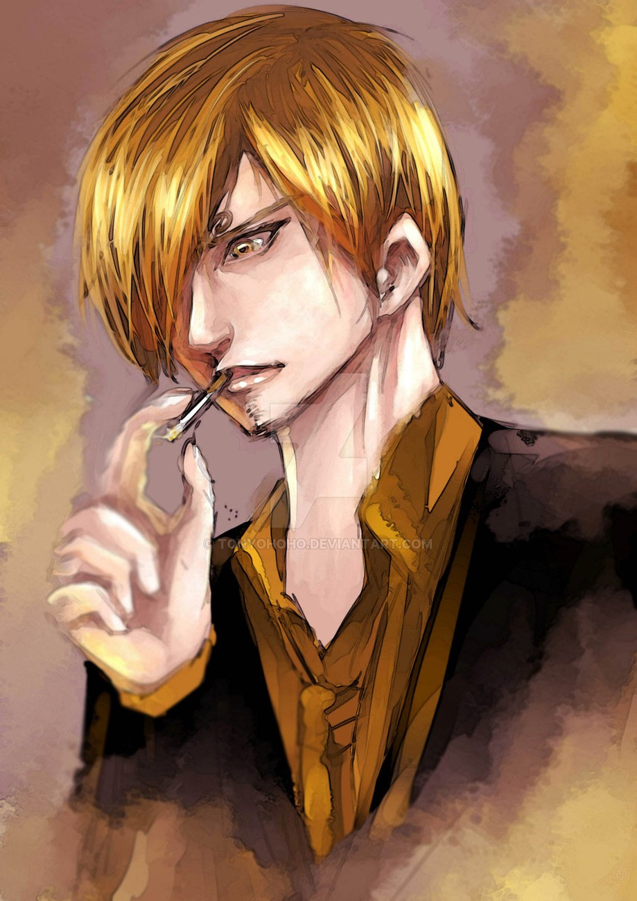 One Piece chapter 806 page 17