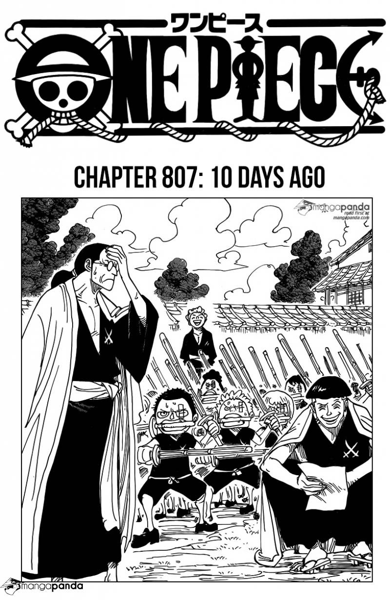 One Piece chapter 807 page 1