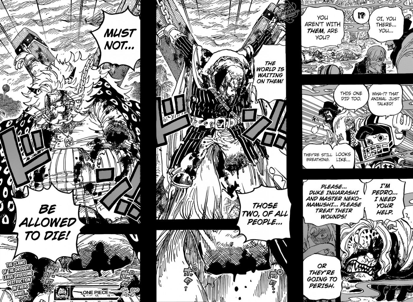 One Piece chapter 810 page 20