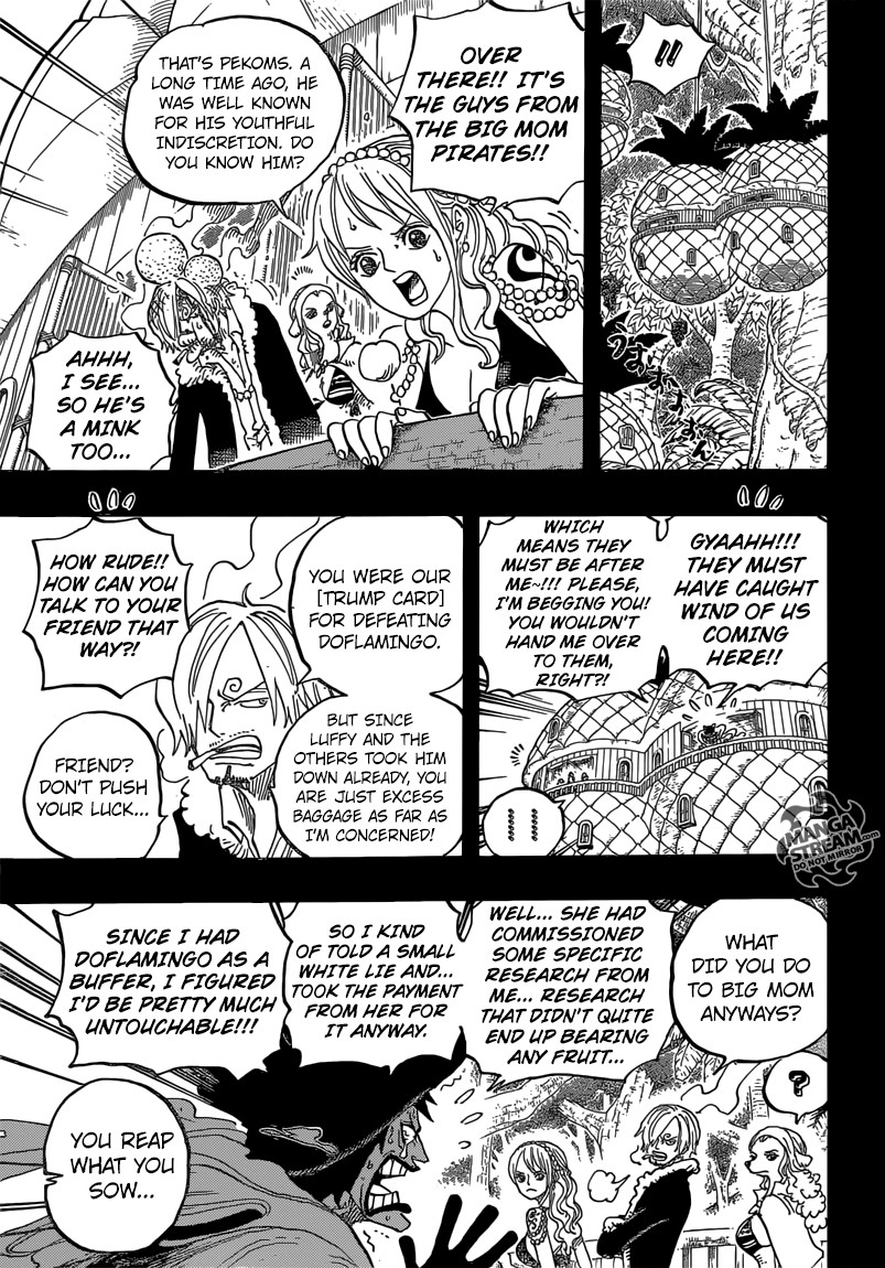 One Piece chapter 812 page 10