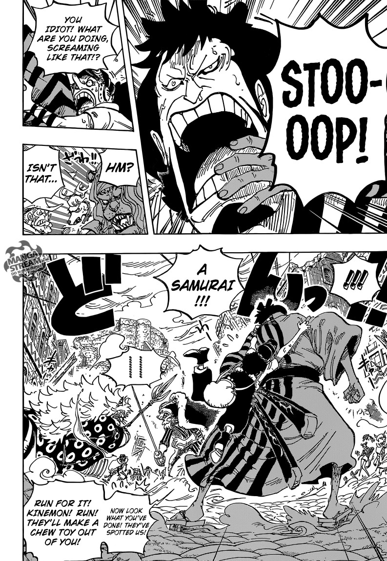 One Piece chapter 816 page 15
