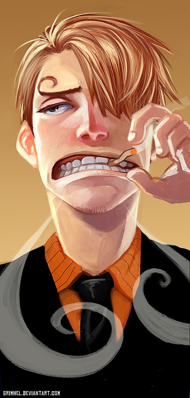 One Piece chapter 816 page 4