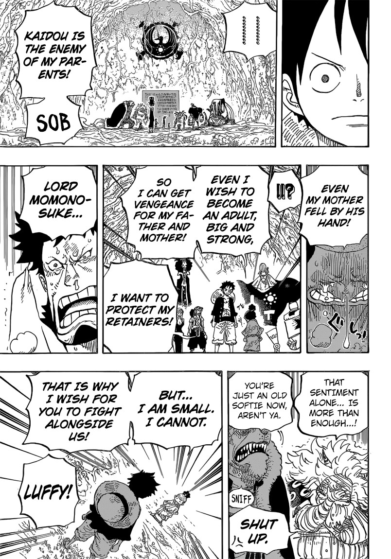 One Piece chapter 819 page 14