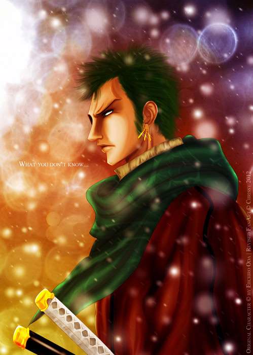 One Piece chapter 833 page 24