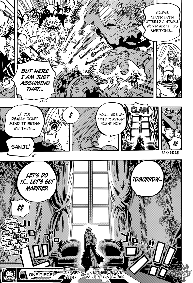 One Piece chapter 845 page 19