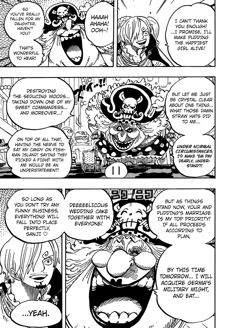 One Piece chapter 846 page 14