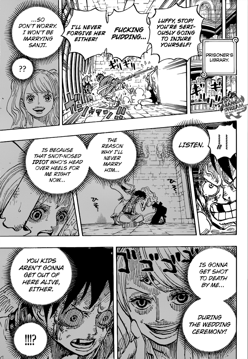 One Piece chapter 850 page 17