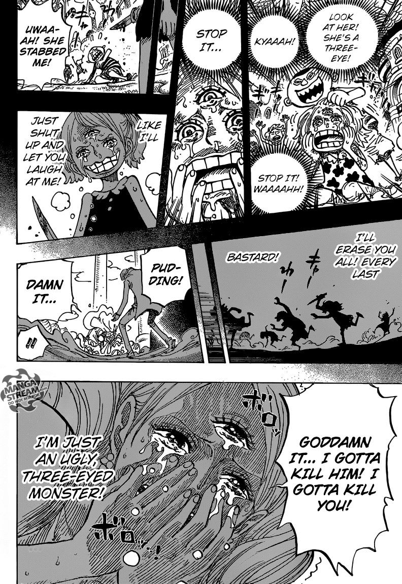 One Piece chapter 862 page 13