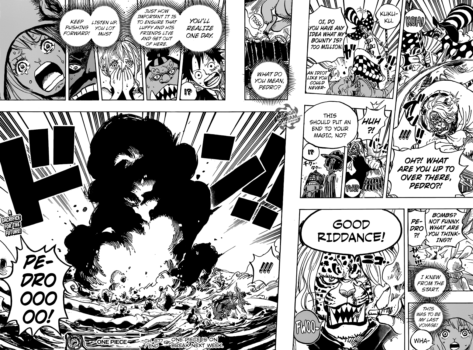 One Piece chapter 877 page 18