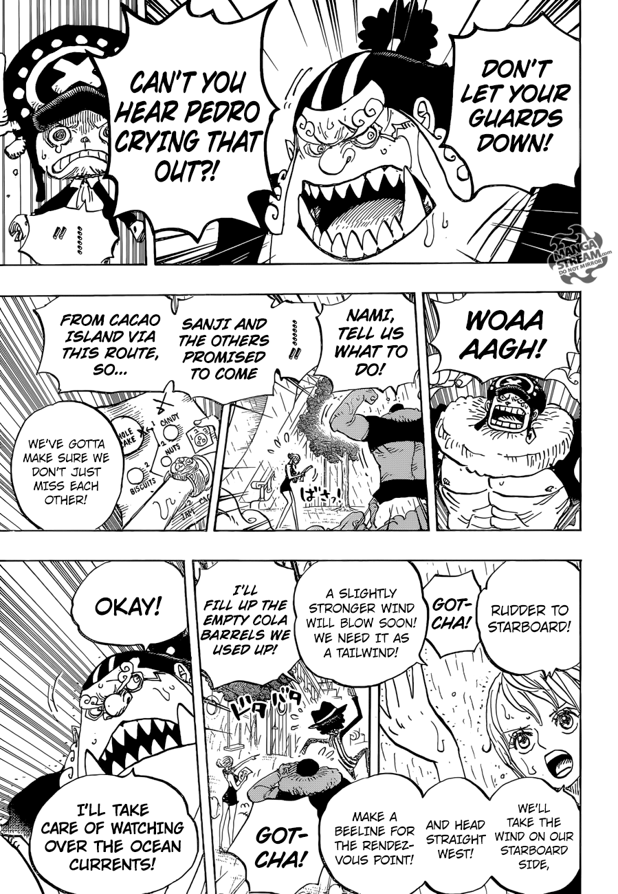 One Piece chapter 879 page 8