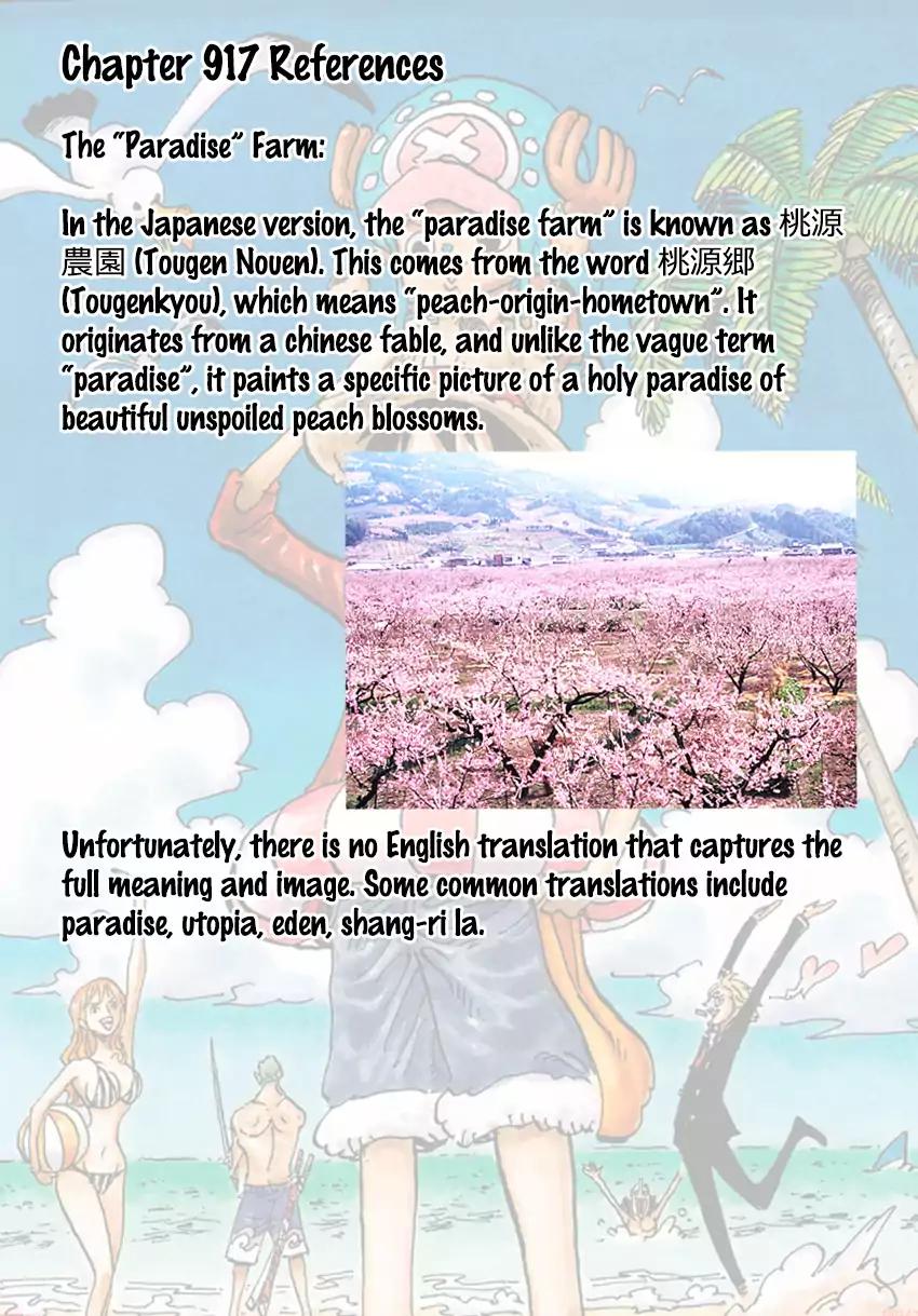 One Piece chapter 917 page 19