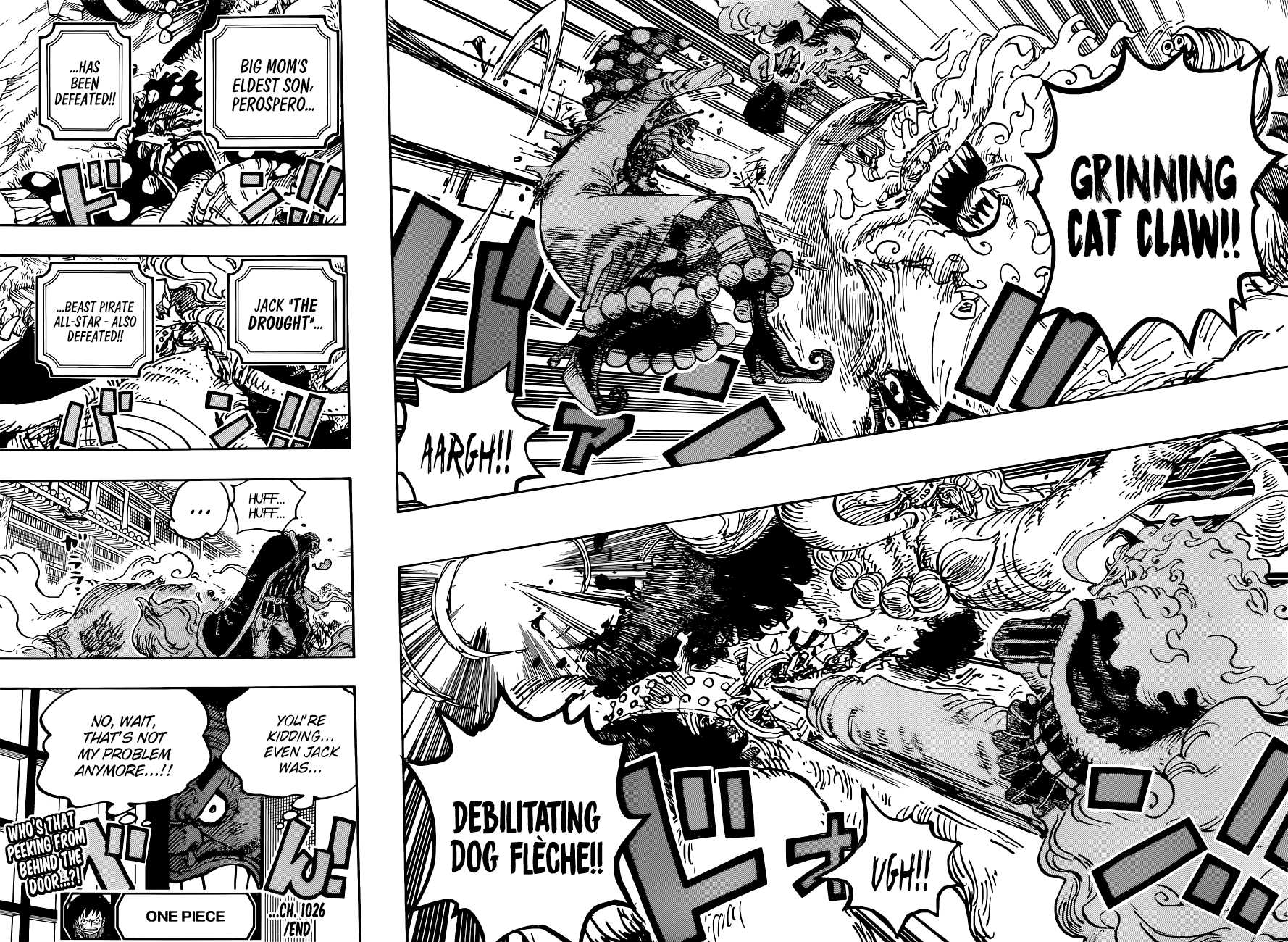 One Piece chapter 1026 page 15