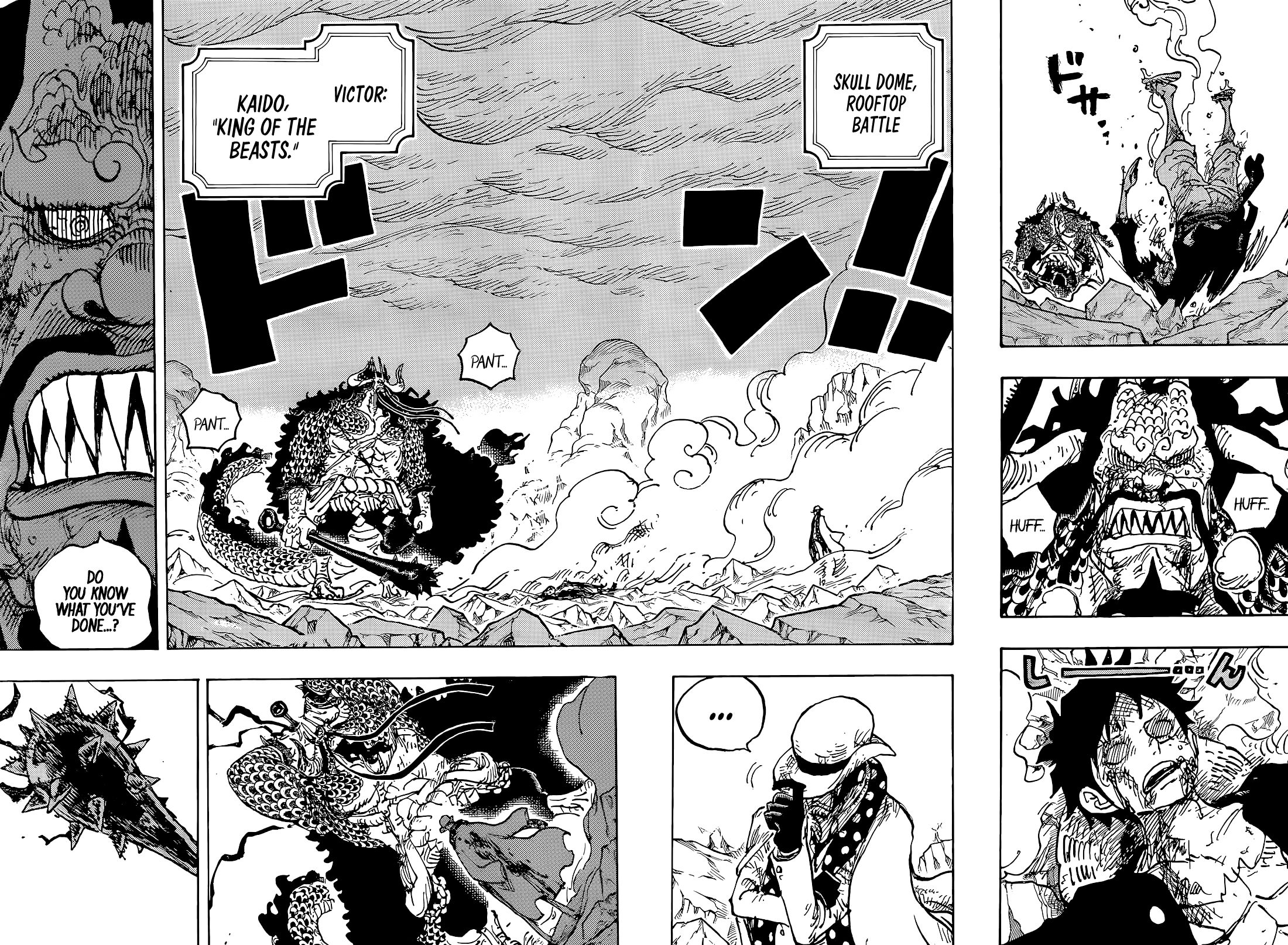 One Piece chapter 1043 page 5