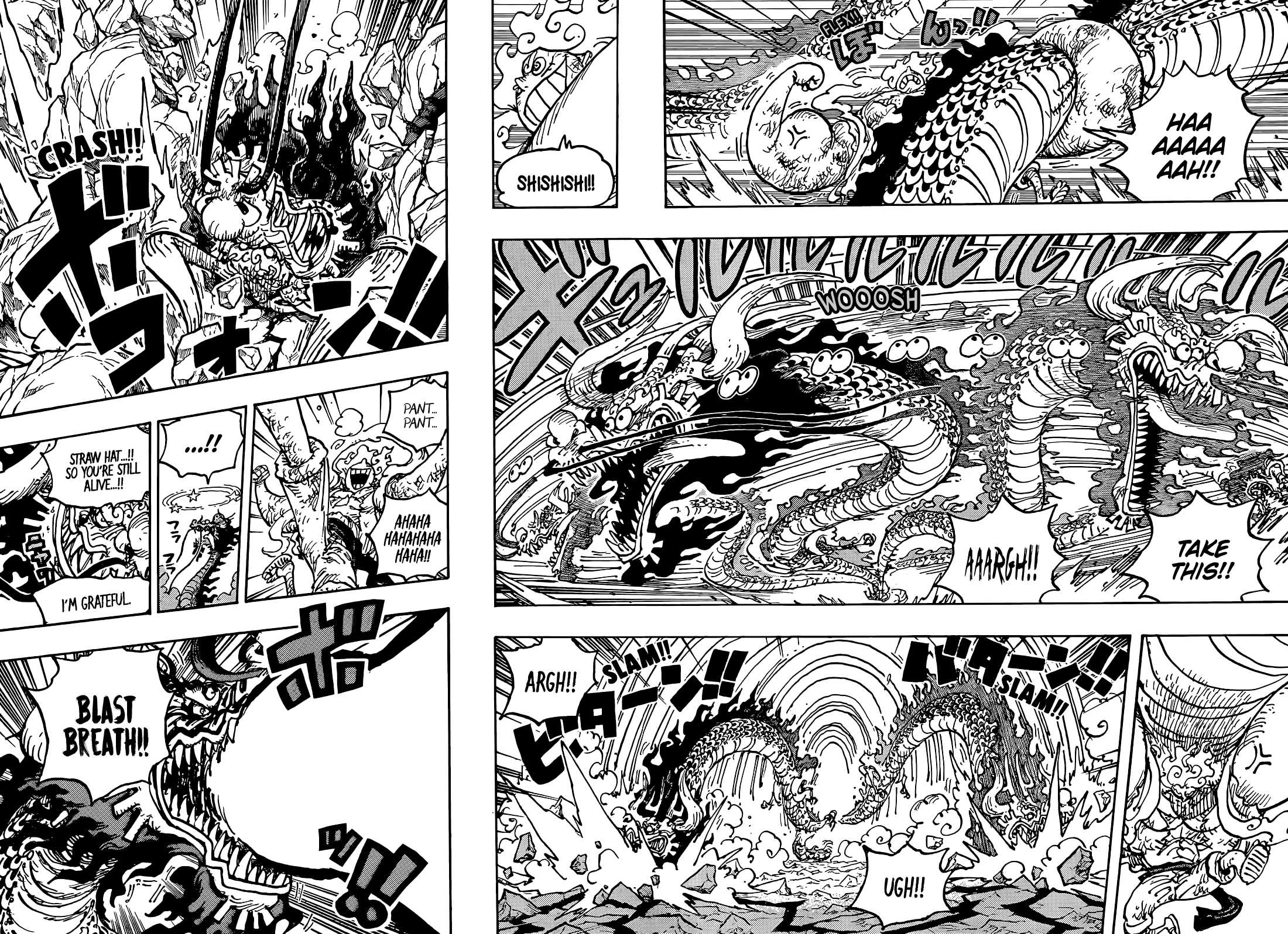One Piece chapter 1044 page 13