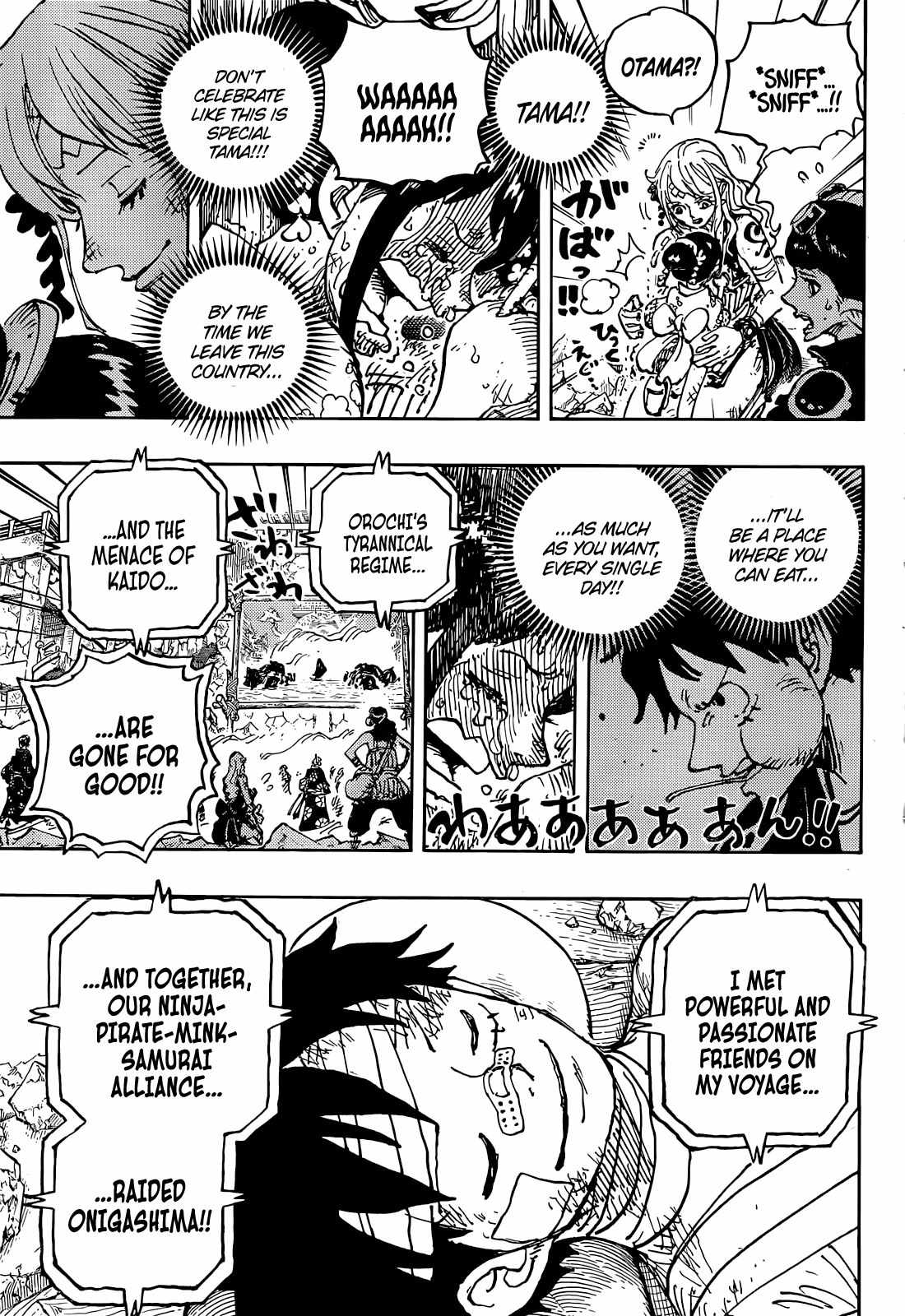 One Piece chapter 1051 page 12