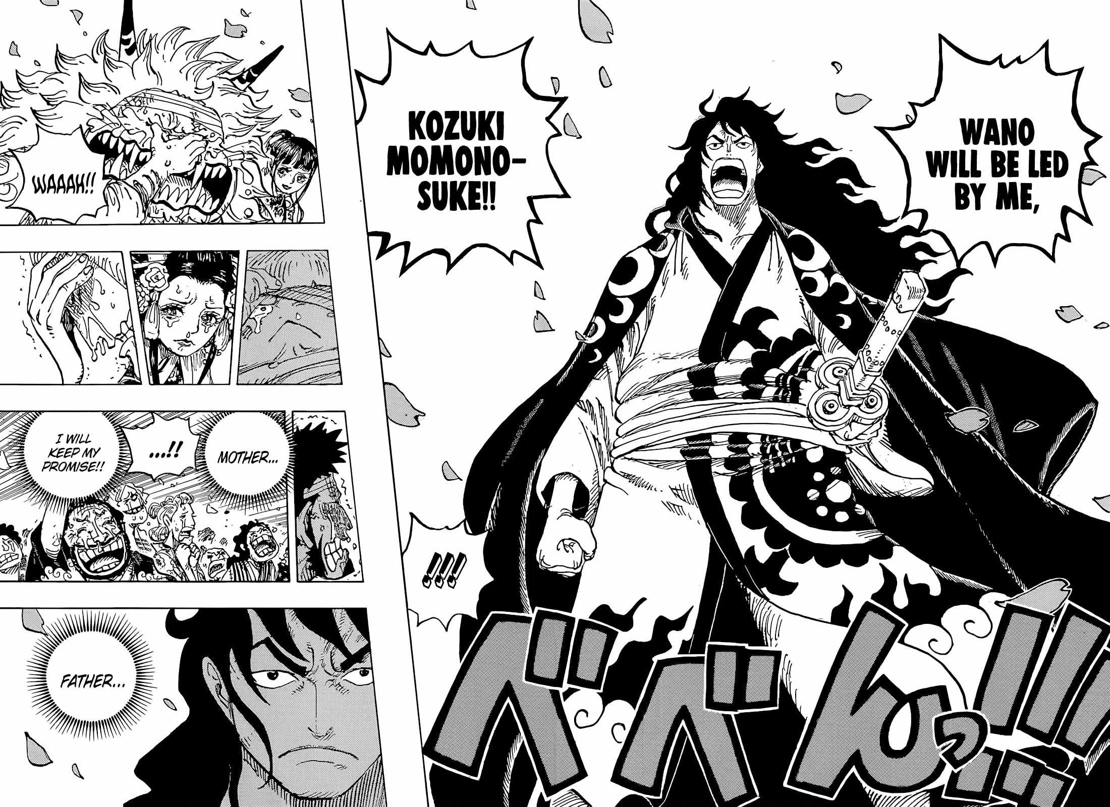 One Piece chapter 1051 page 15