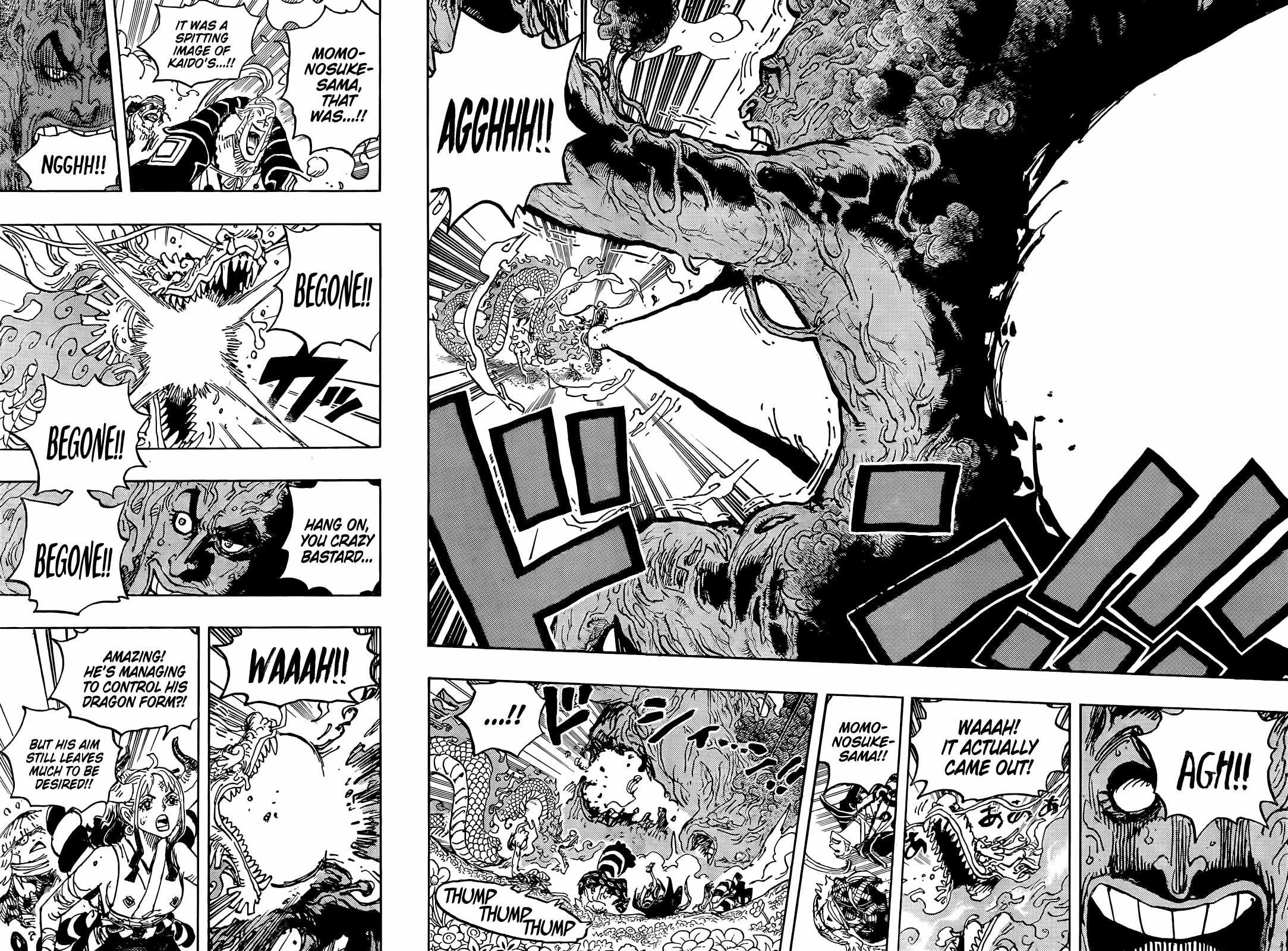 One Piece chapter 1055 page 15