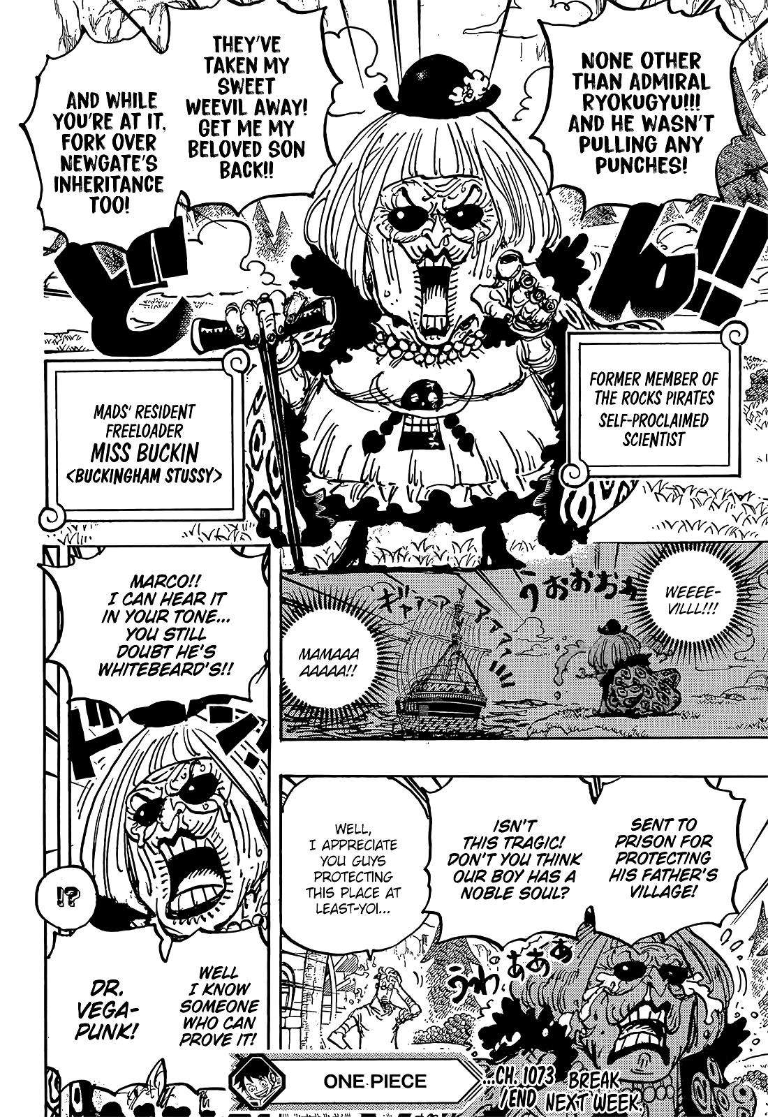 One Piece chapter 1073 page 15