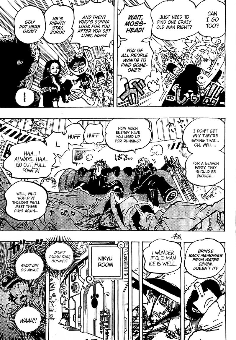 One Piece chapter 1074 page 10
