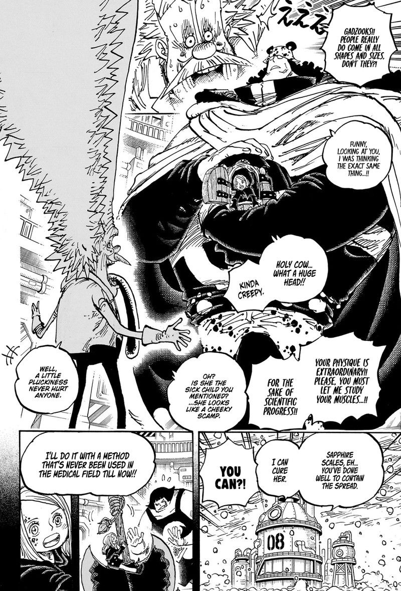 One Piece chapter 1099 page 13