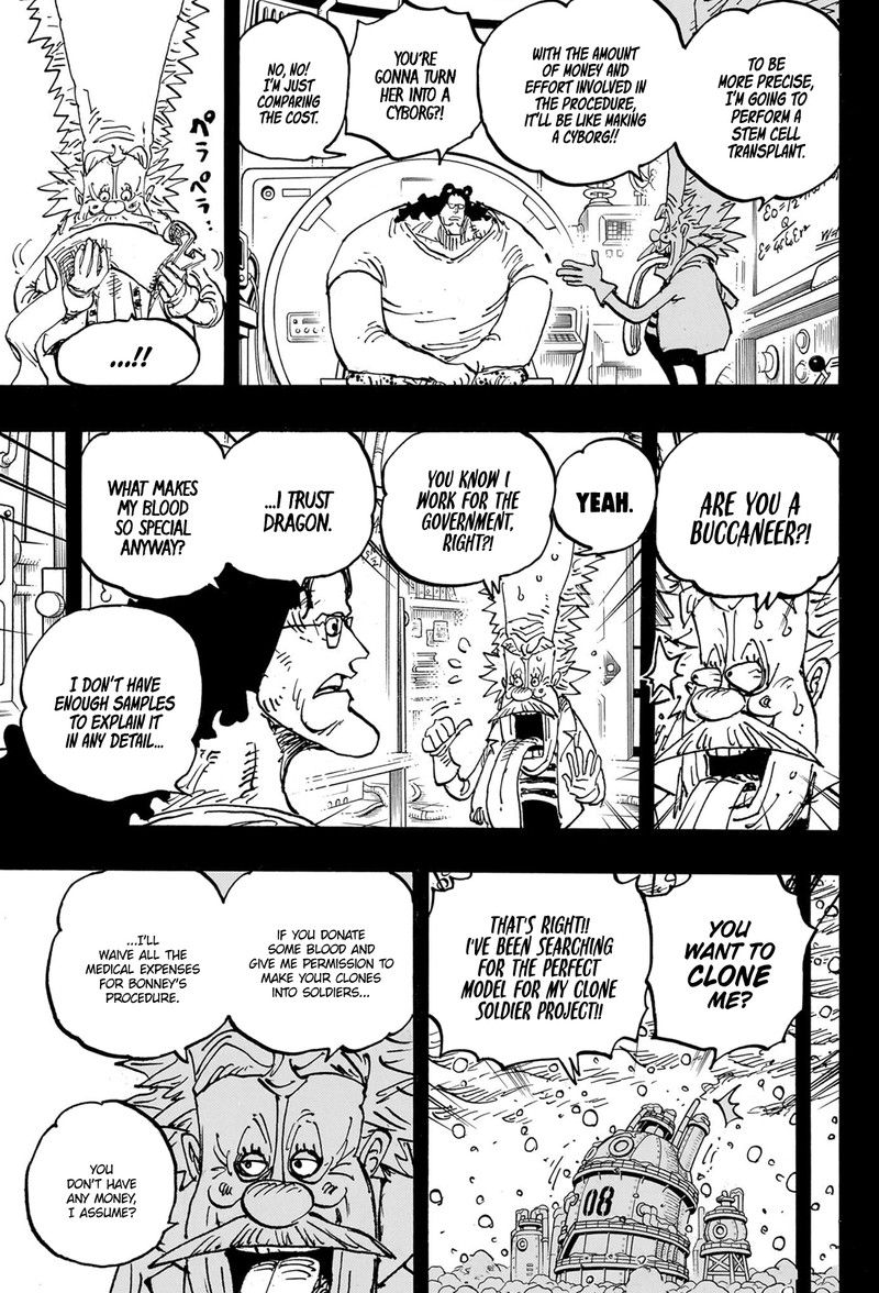 One Piece chapter 1099 page 14