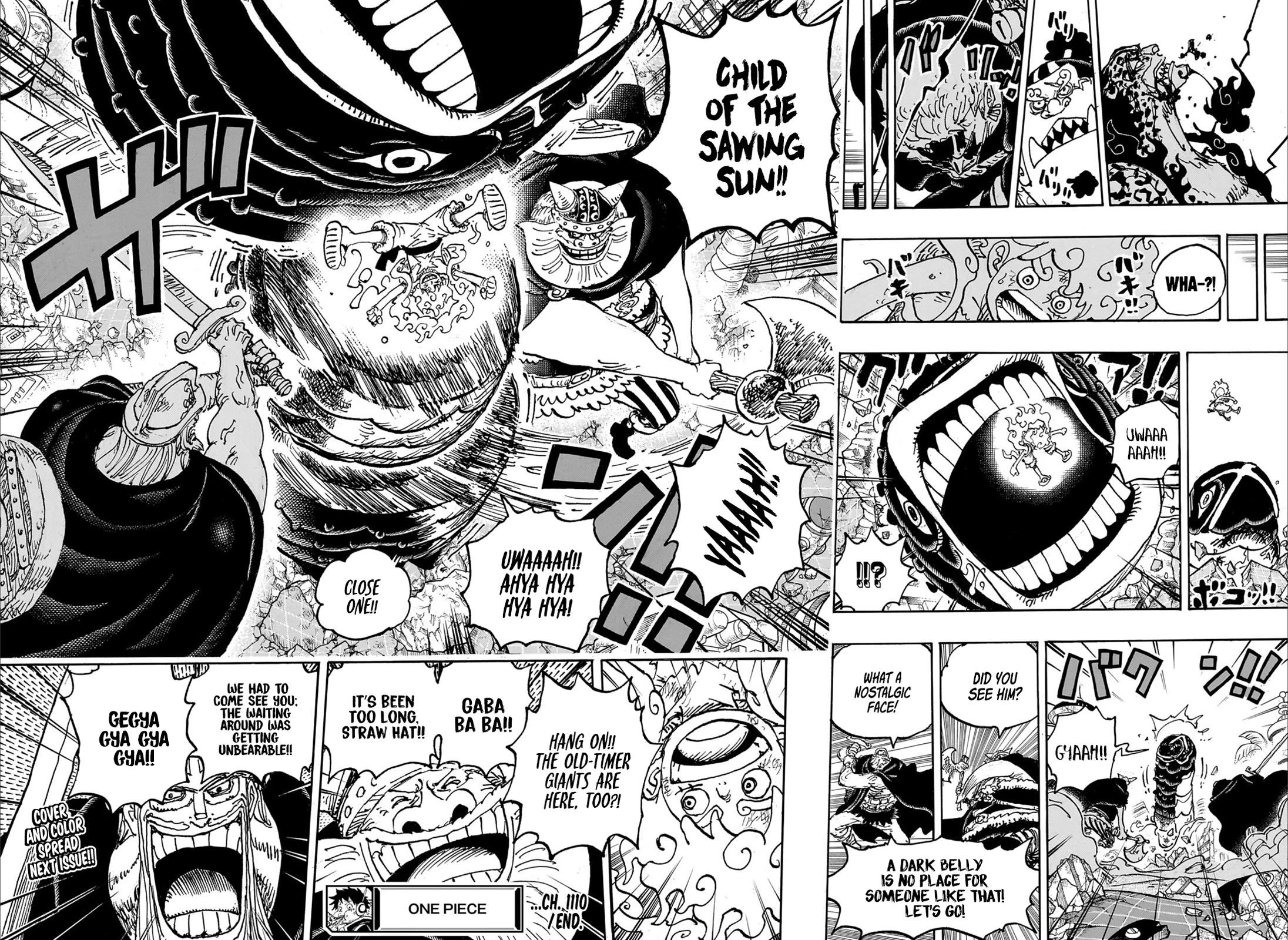One Piece chapter 1110 page 13