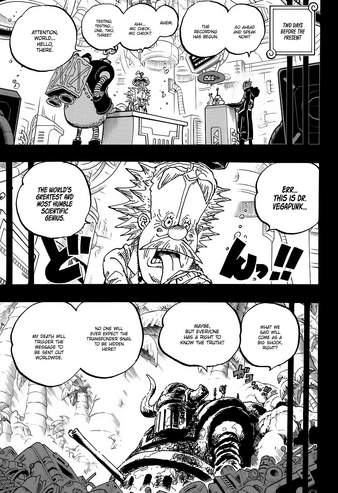 One Piece chapter 1123 page 13