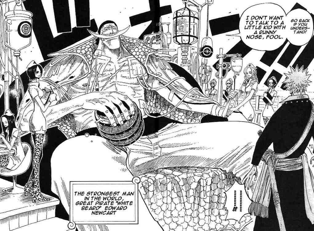 One Piece chapter 234 page 12