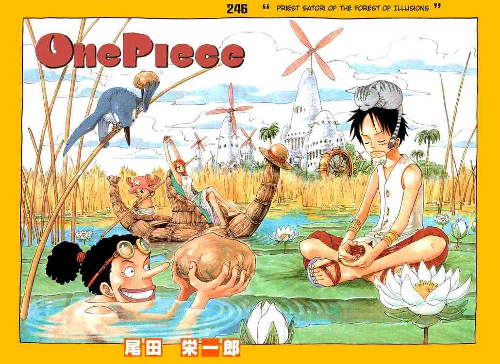One Piece chapter 246 page 1