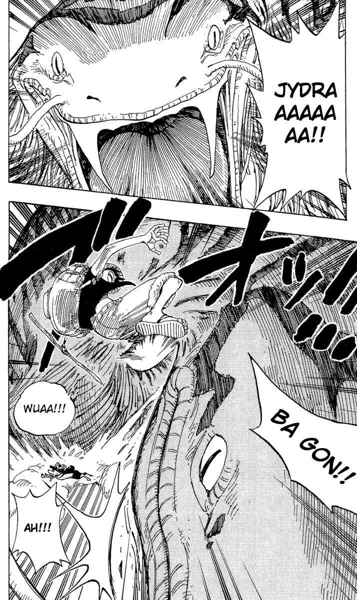 One Piece chapter 255 page 14