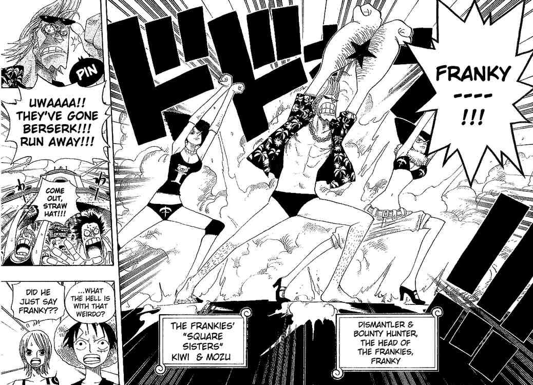 One Piece chapter 335 page 14