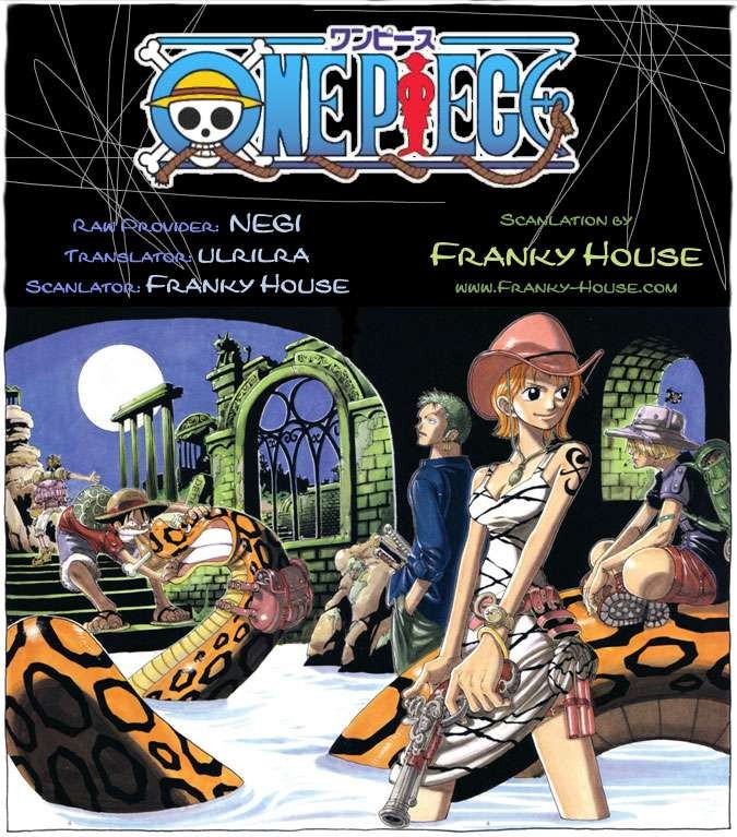 One Piece chapter 489 page 17