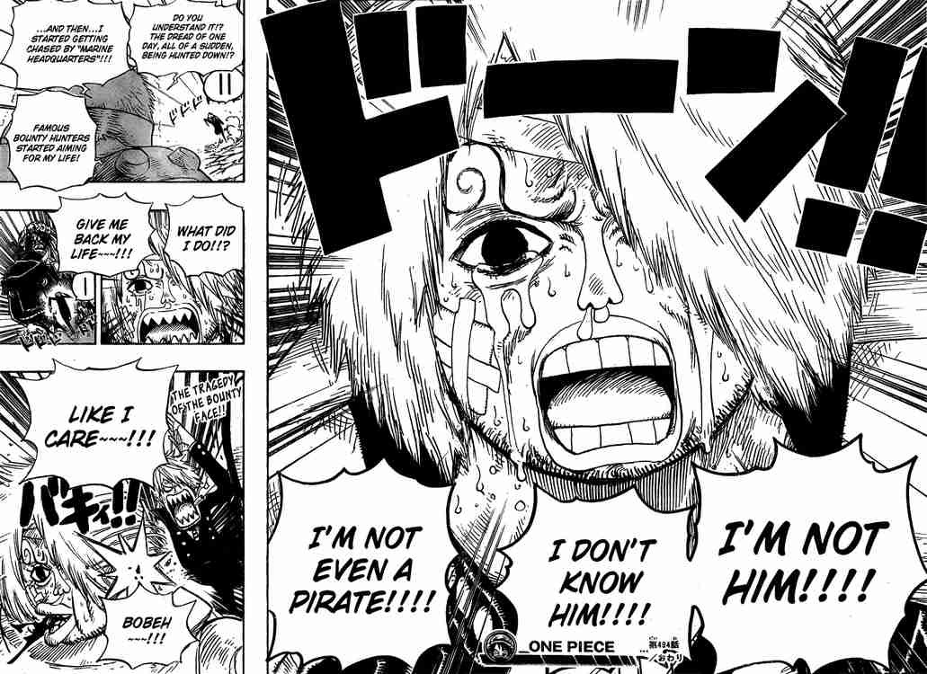 One Piece chapter 494 page 18