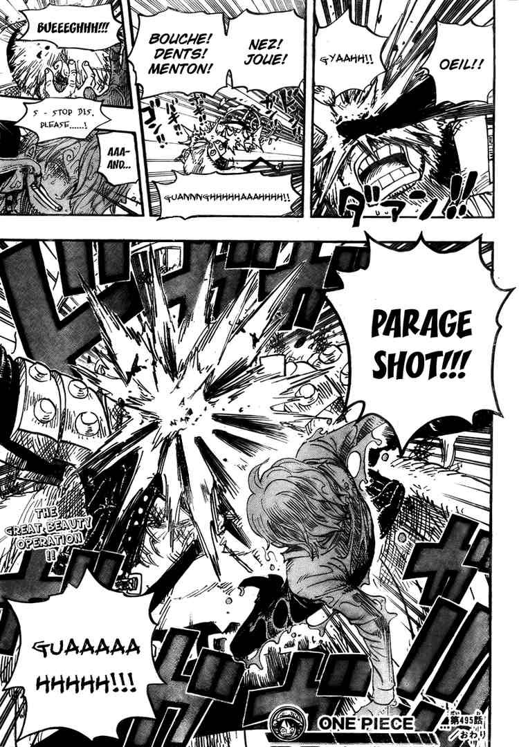 One Piece chapter 495 page 19