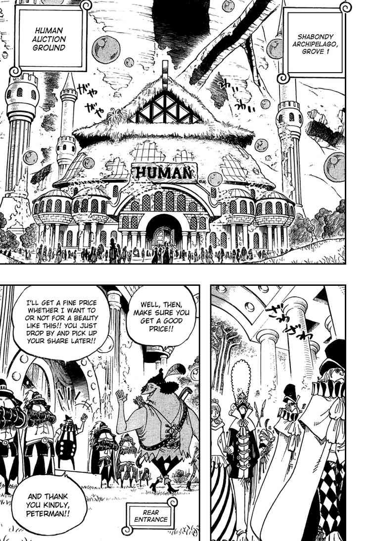 One Piece chapter 500 page 13
